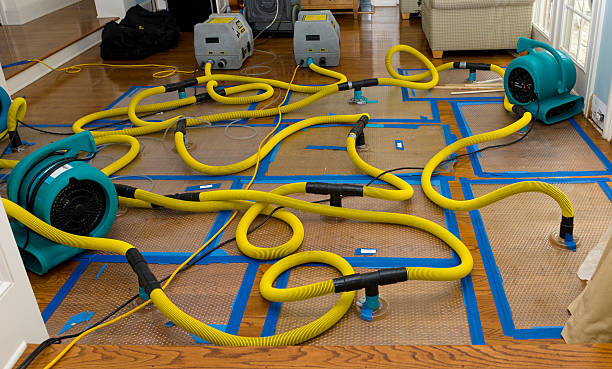 Professional Water Extraction technician working in Wauconda, WA
